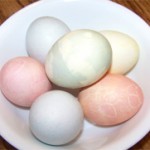Natural Dye Easter Eggs