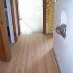 Beginning of flooring install
