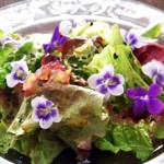 Ginger Violet Salad