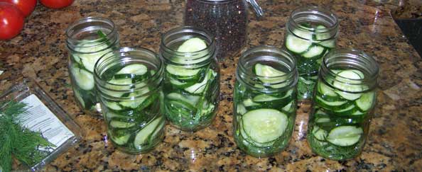 From Cucumber to Hamburger Dill