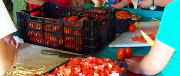 Salsa Among Friends