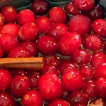 cranberries-wide