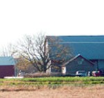 rare-earth-farm-wide
