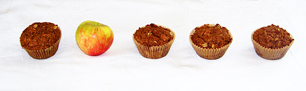 A New Favorite Muffin: Apple Pie Streusel