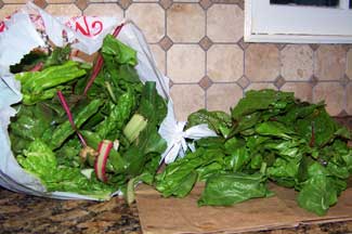 Defeating the Chard Mountain