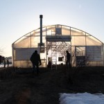 Greenhouse-17