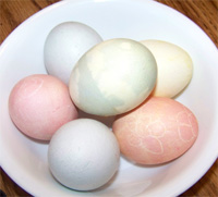 Fall Vegetables Bring Spring Easter Eggs