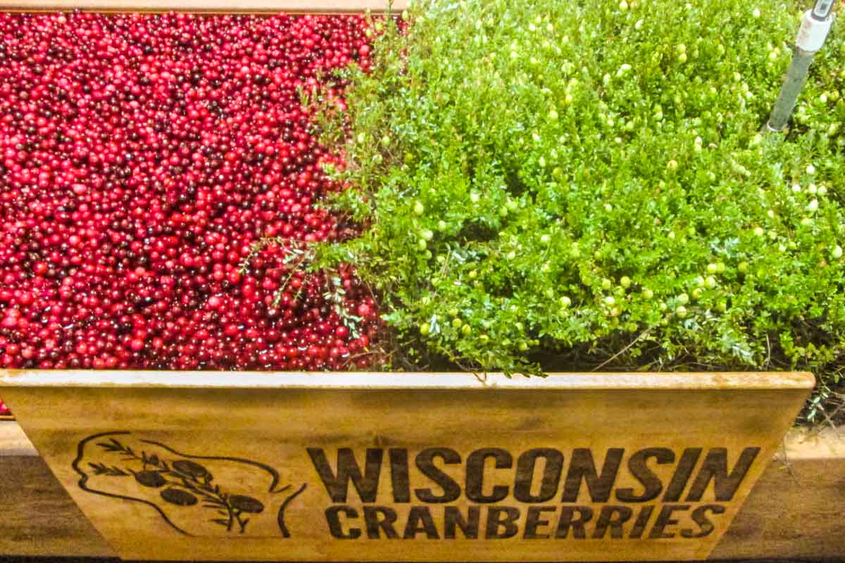 Cranberries from WI