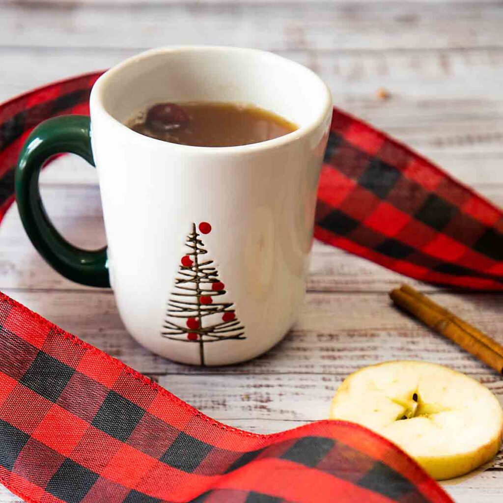 A sweet, spicy and warming seasonal beverage, there is nothing like Hot Spiced Apple Cider to celebrate cooler weather!