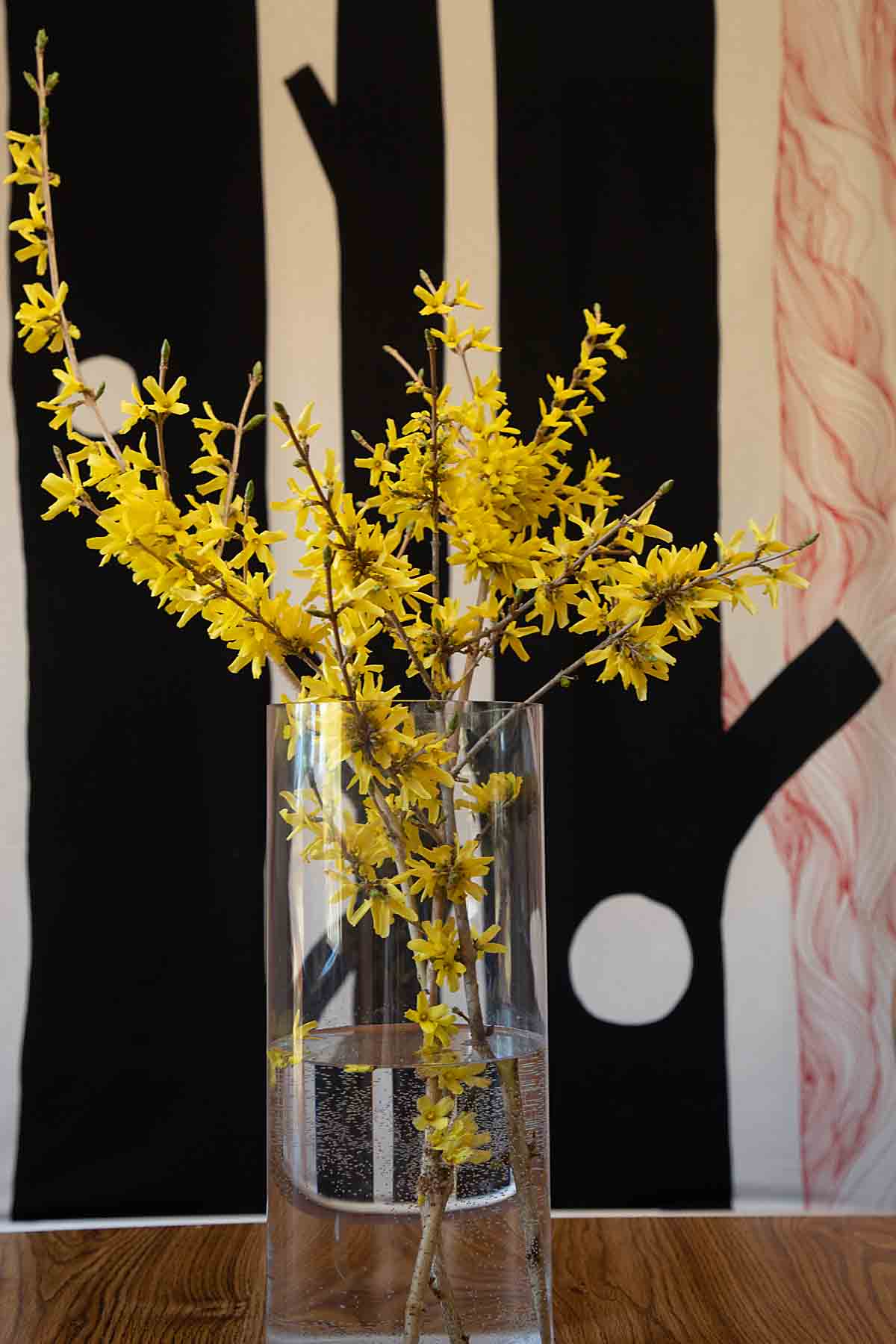 forcing forsythia branches