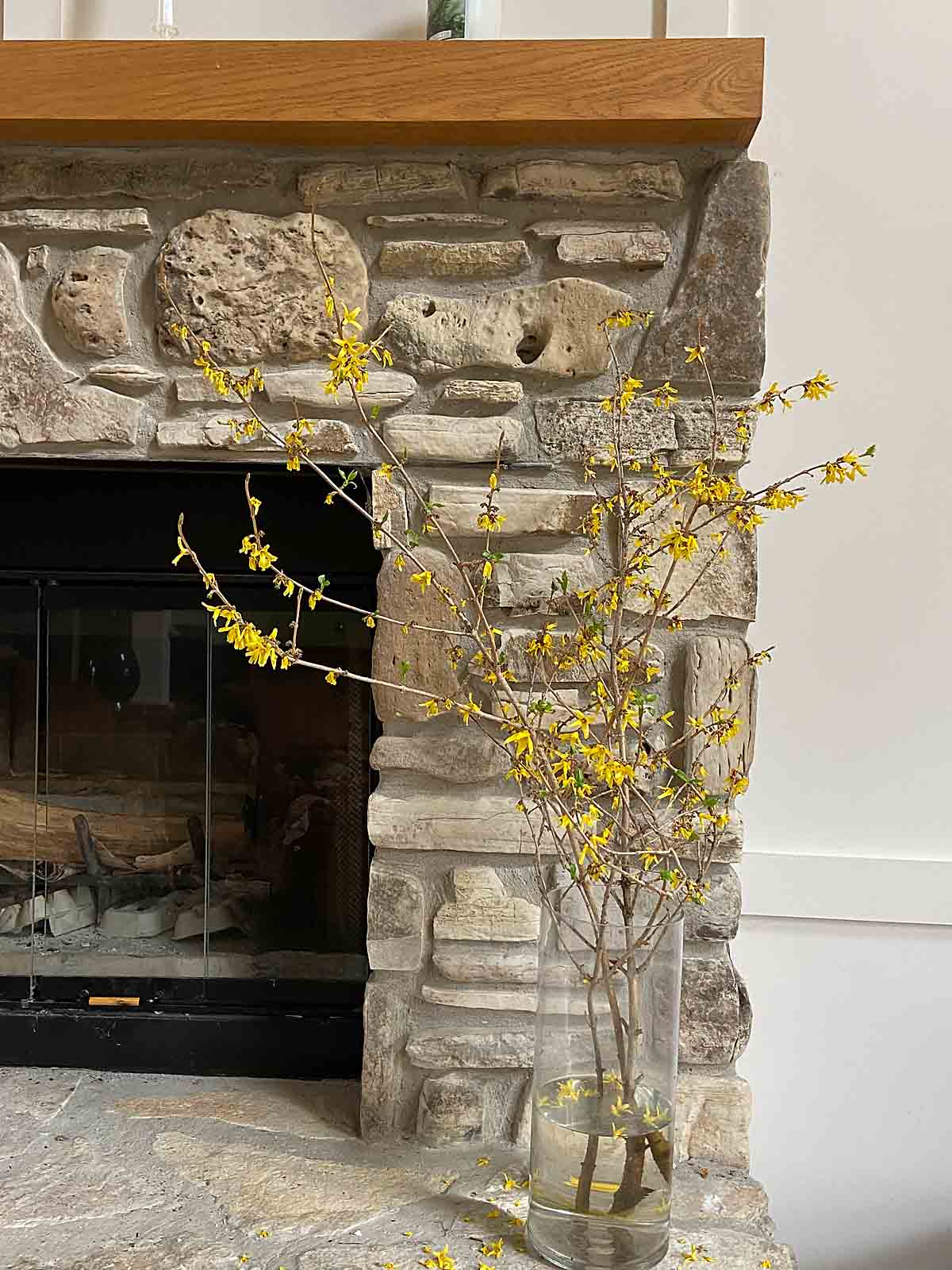 forsythias by fireplace