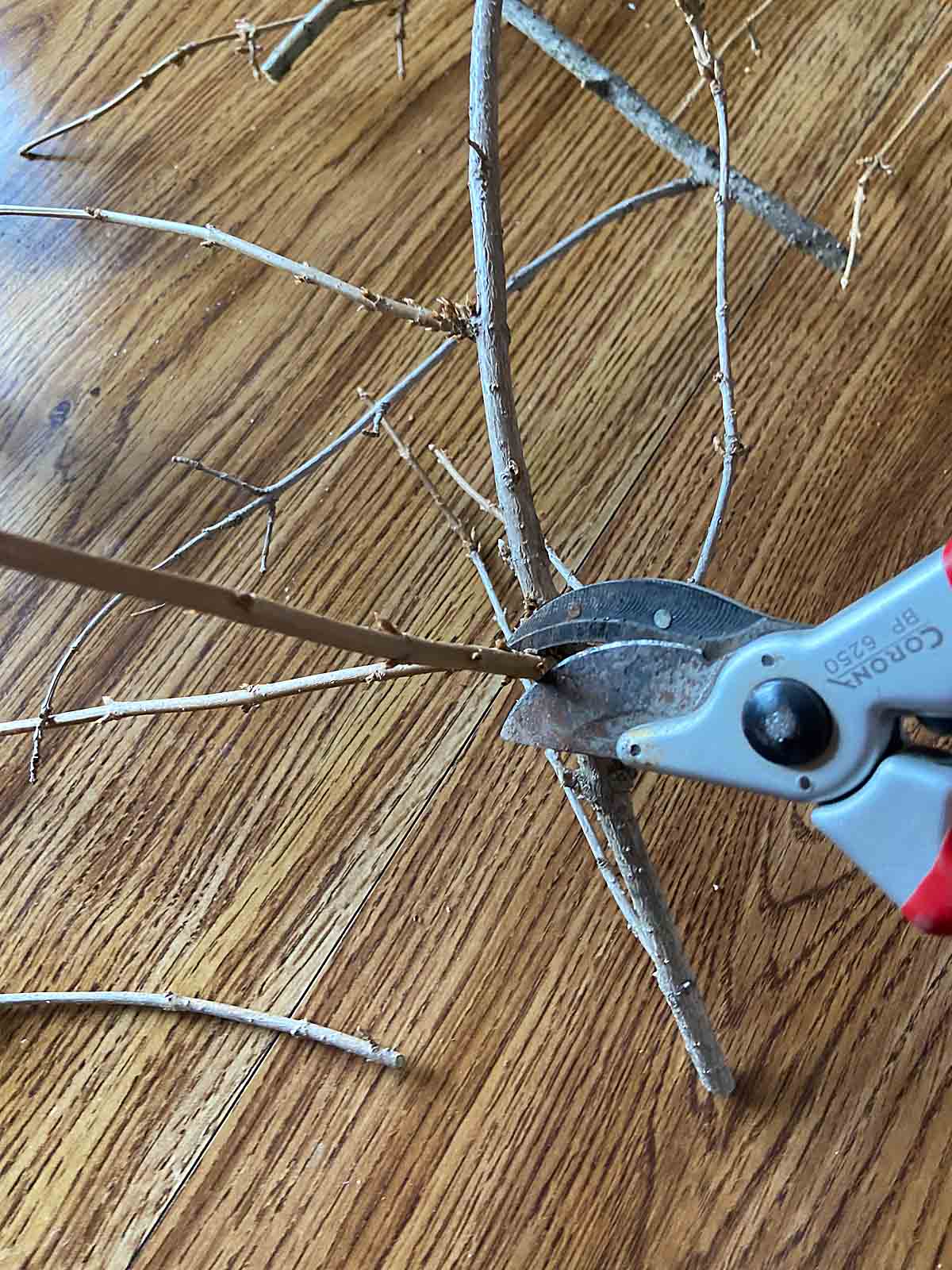 trim branches