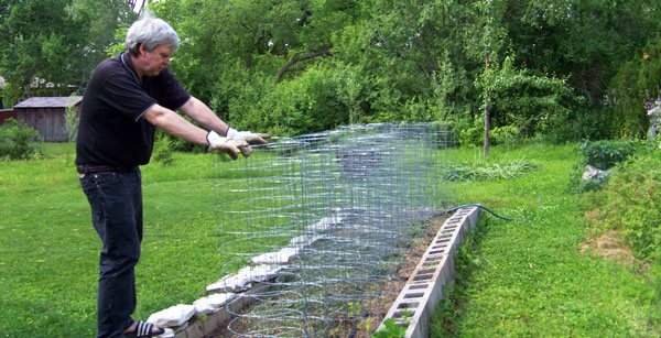 Homemade Tomato Cages