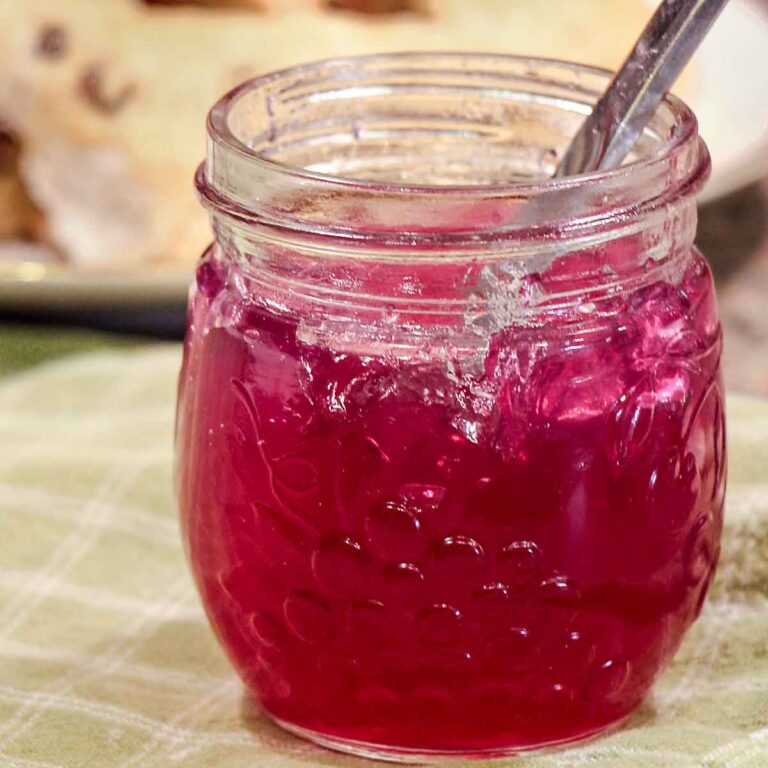 One of the first signs of spring is wild violets!  Reveal in the season by making 4-ingredient Violet Jelly! 