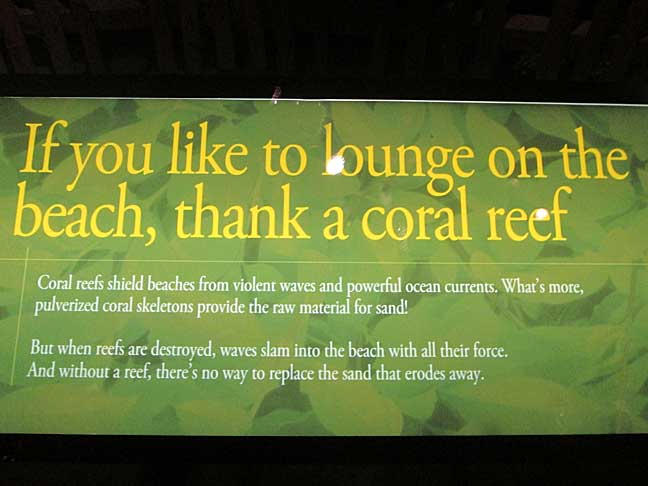 Shedd-Coral-Reef-Sign