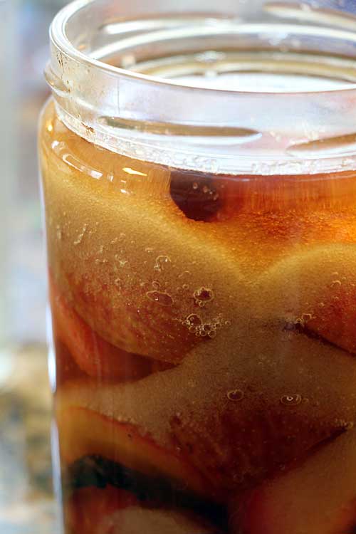 Boozy Fruit:  The Oldest Preserves (Brandied Plums)