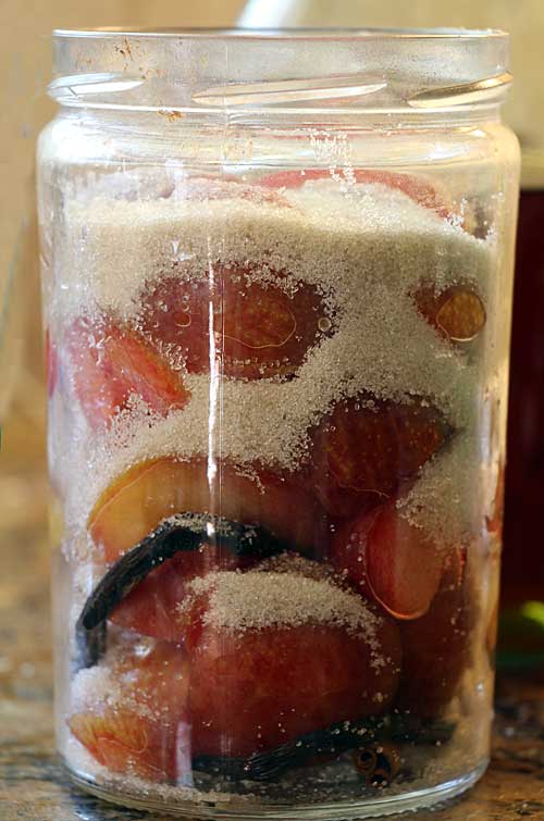 Boozy Fruit The Oldest Preserves Brandied Plums Art Of Natural Living