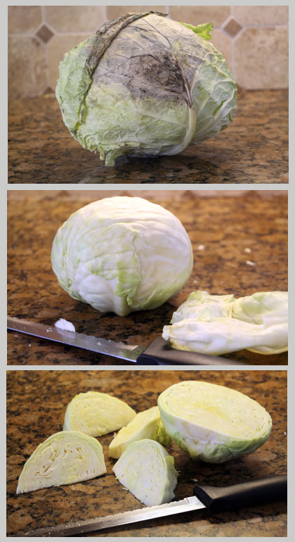 Old Cabbage Transformation