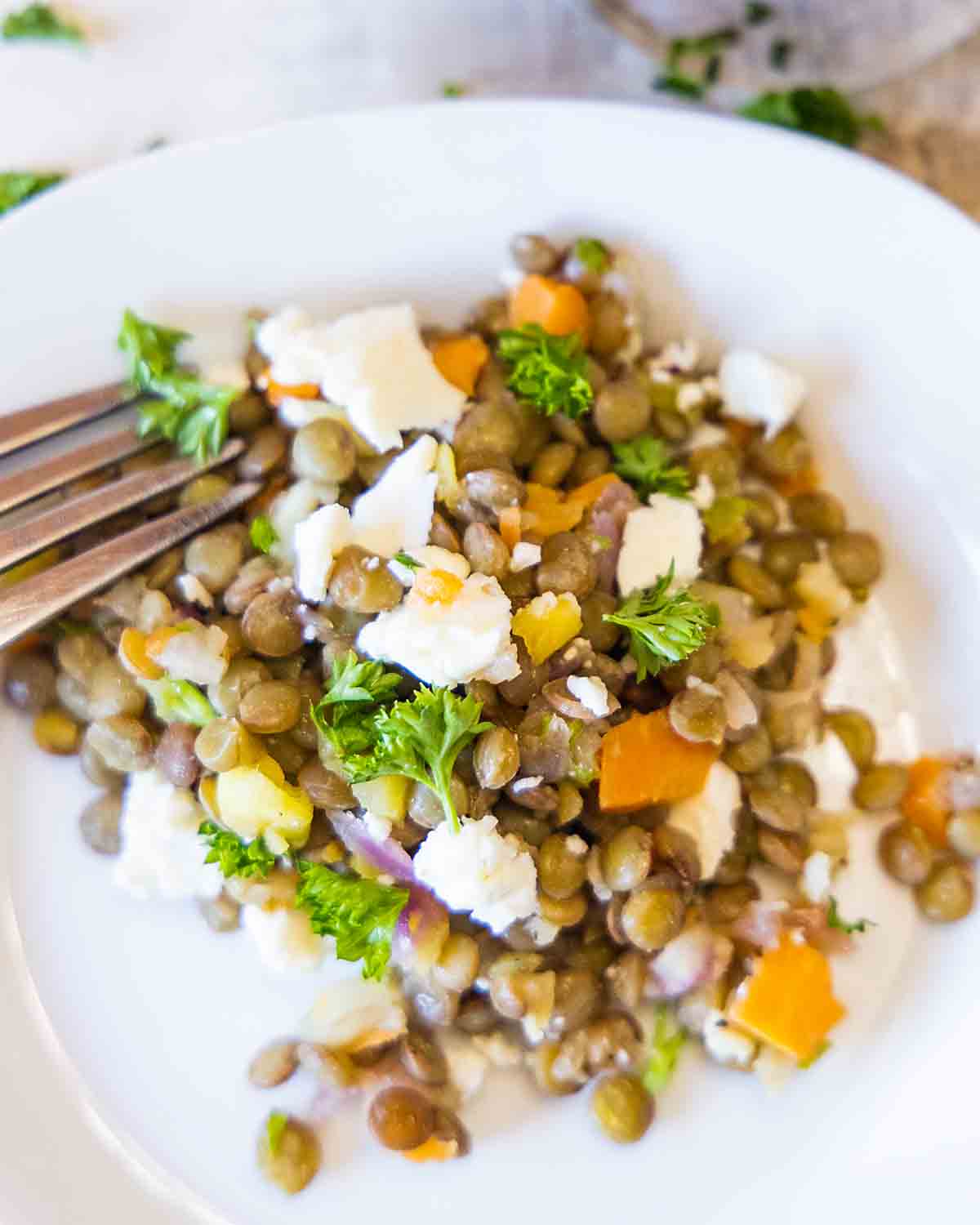French Lentil Salad closeup