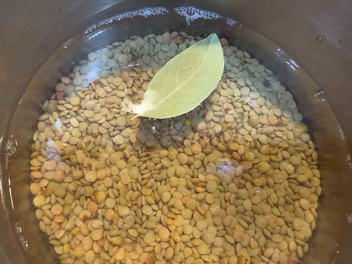 boil lentils and bay leaf