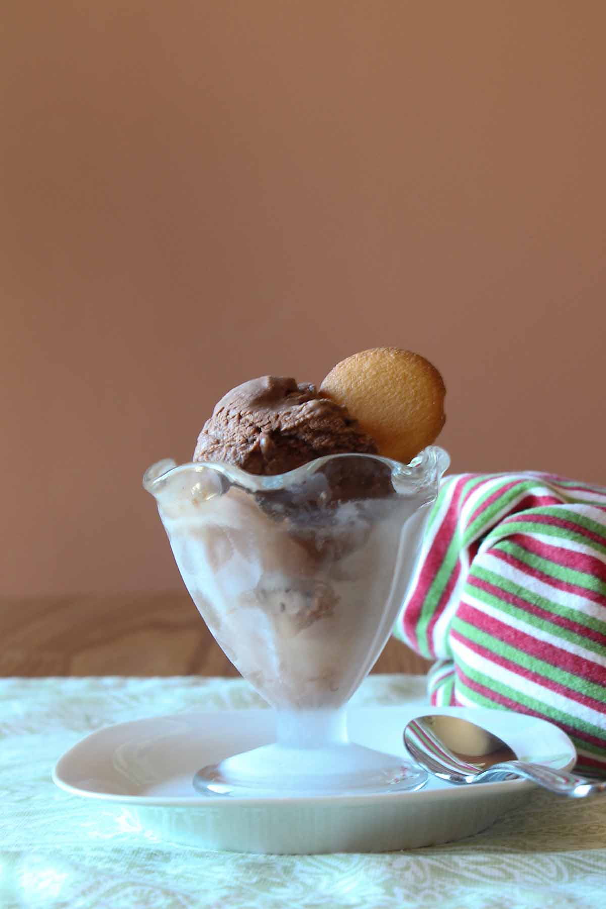 KitchenAid Ice Cream Recipes - SueBee Homemaker