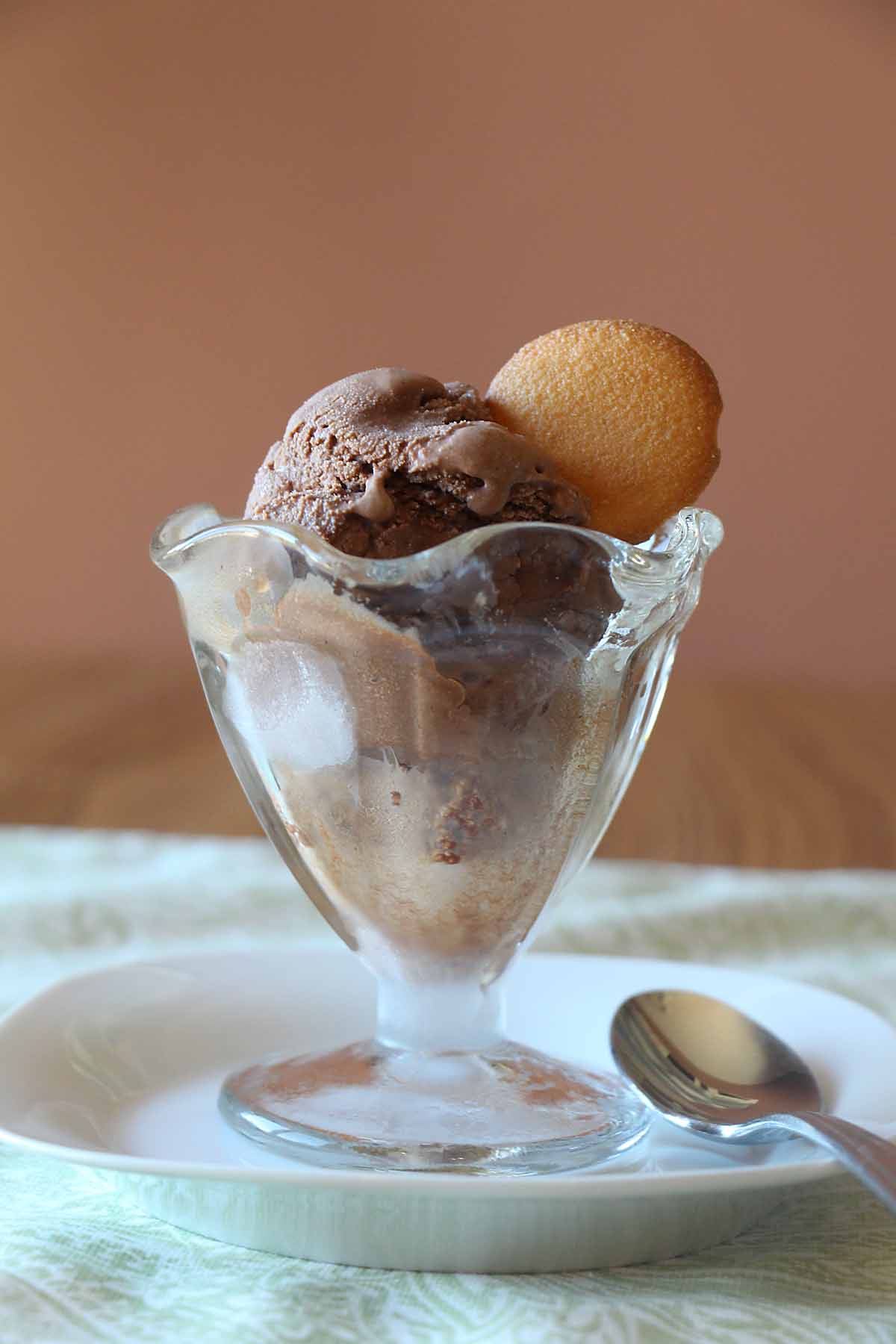 Cookies and Cream Ice Cream - SueBee Homemaker