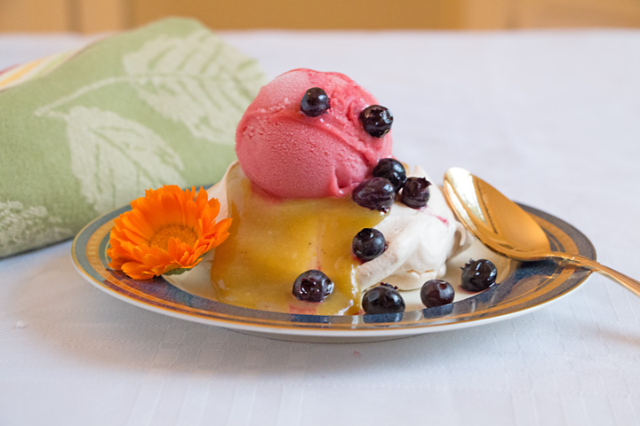Fall Colors Pavlova Dessert with Sorbet