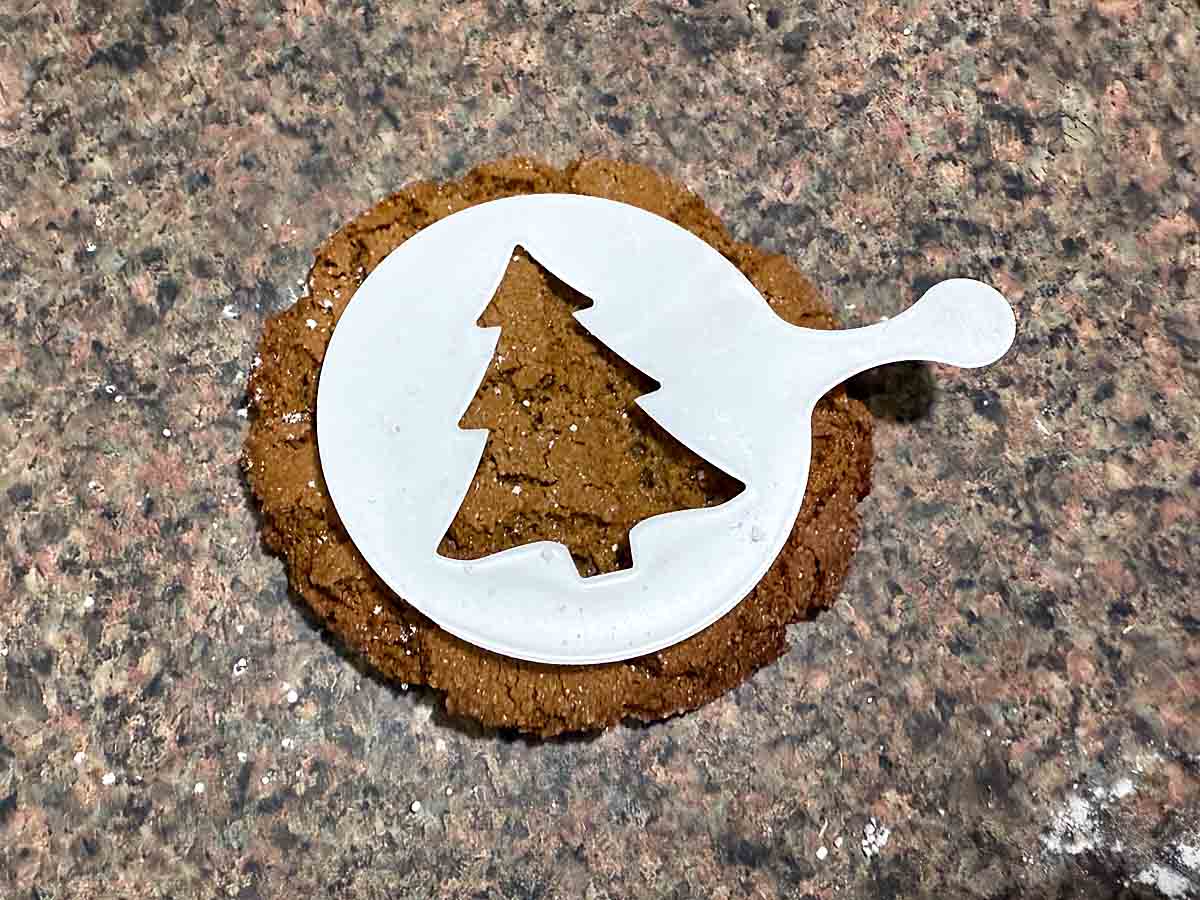 cookie with stencil on top 
