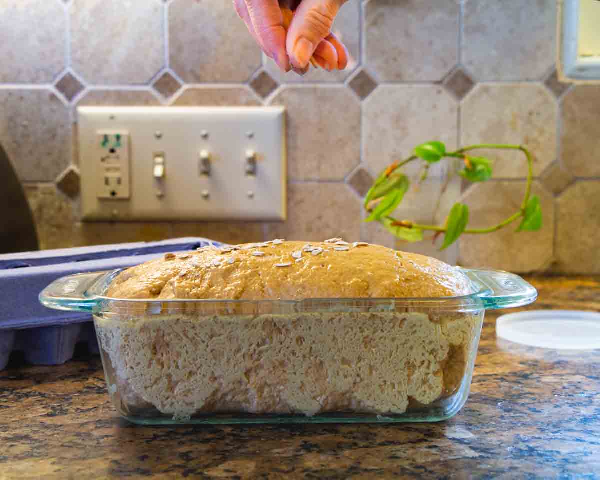 Live Light Potato Bread