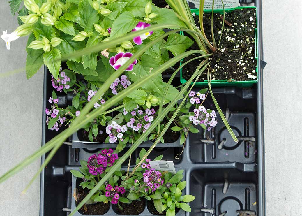 Preparation of soil mixture from fertile compost, humus and vermiculite on  black garbage bag floor in garden. Mixing the soil components for the  preparation of the substrate for transplanting plants. Stock Photo