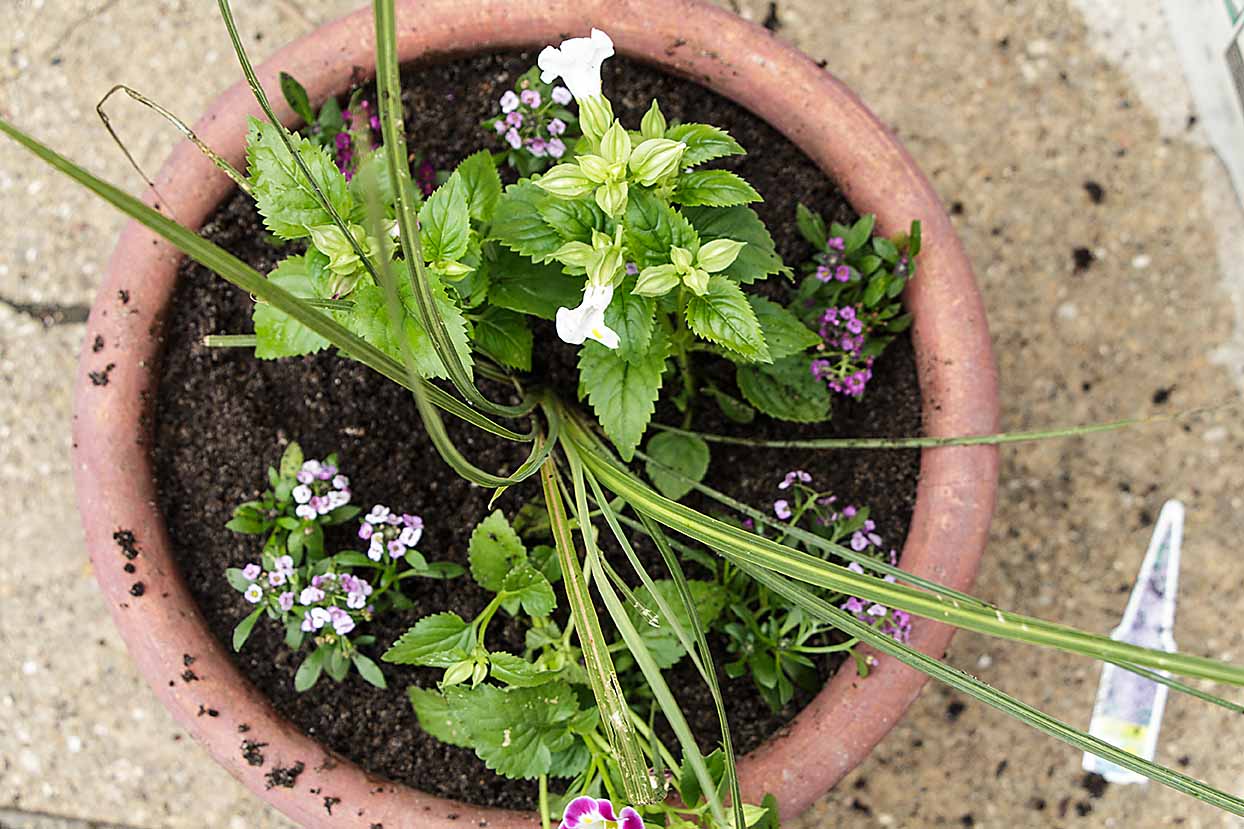 Easy Homemade Potting Soil