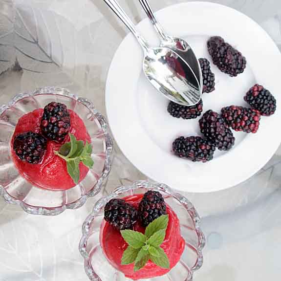 Refreshing Raspberry Rosé Sorbet