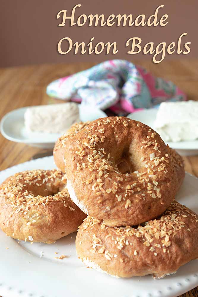 16+ Onion Bagel Recipe