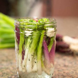 With all the flavor of traditional pickles, but much less work, Quick Pickled Scallions can turn a green onion bounty into a taste treat!