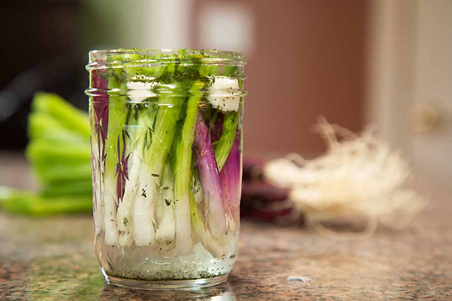 Grow Spring Onions in a Jar  Chinese Recipes at