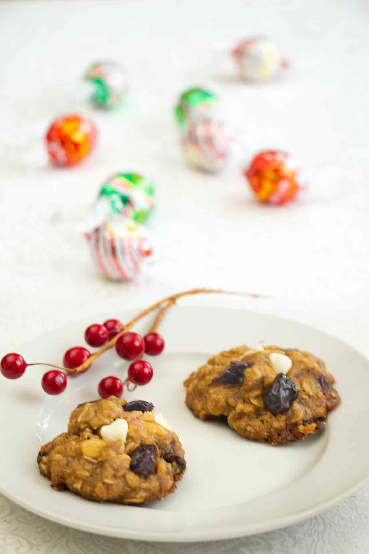 Cranberry White Chocolate Oatmeal Cookies In A Jar - Suburban