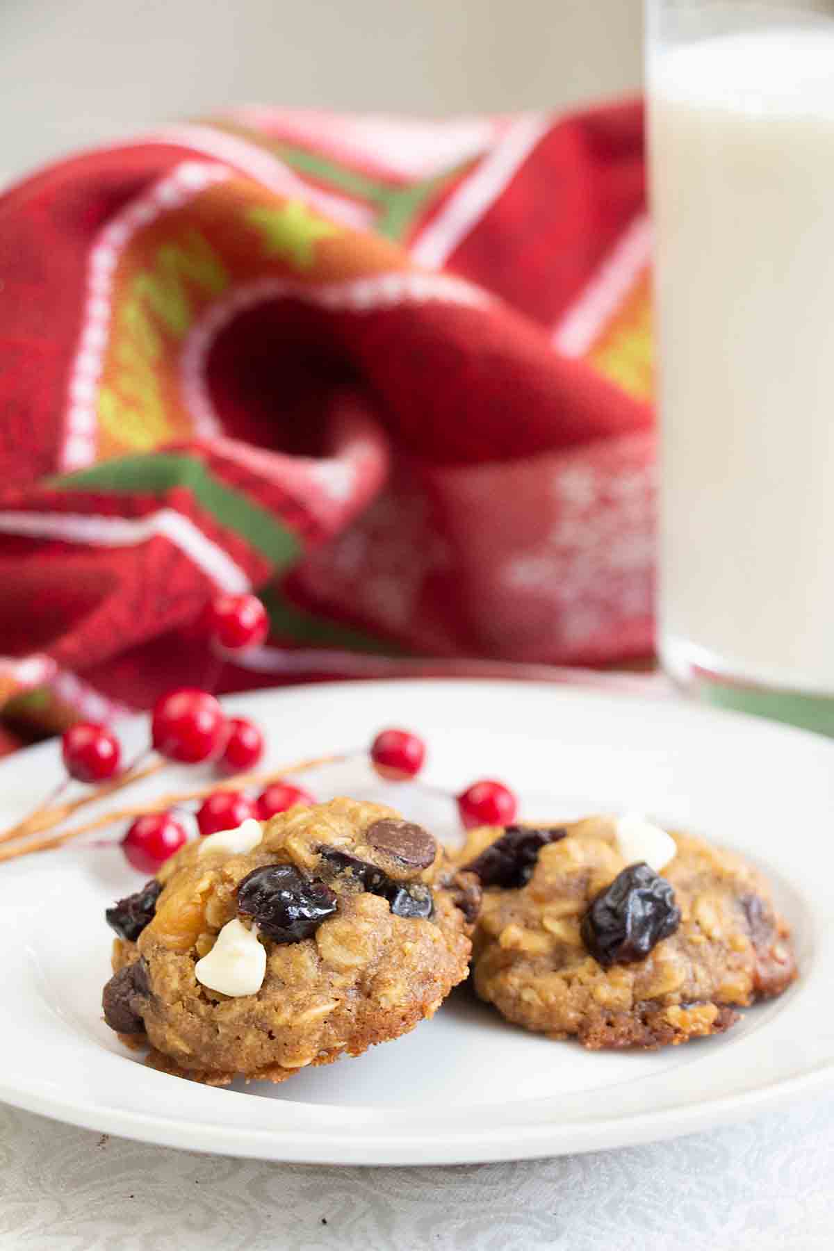 Cranberry White Chocolate Oatmeal Cookies In A Jar - Suburban