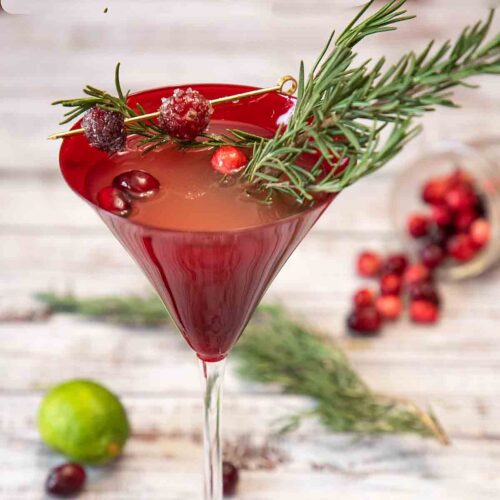 Cranberry Martini Or Cosmopolitan Art Of Natural Living