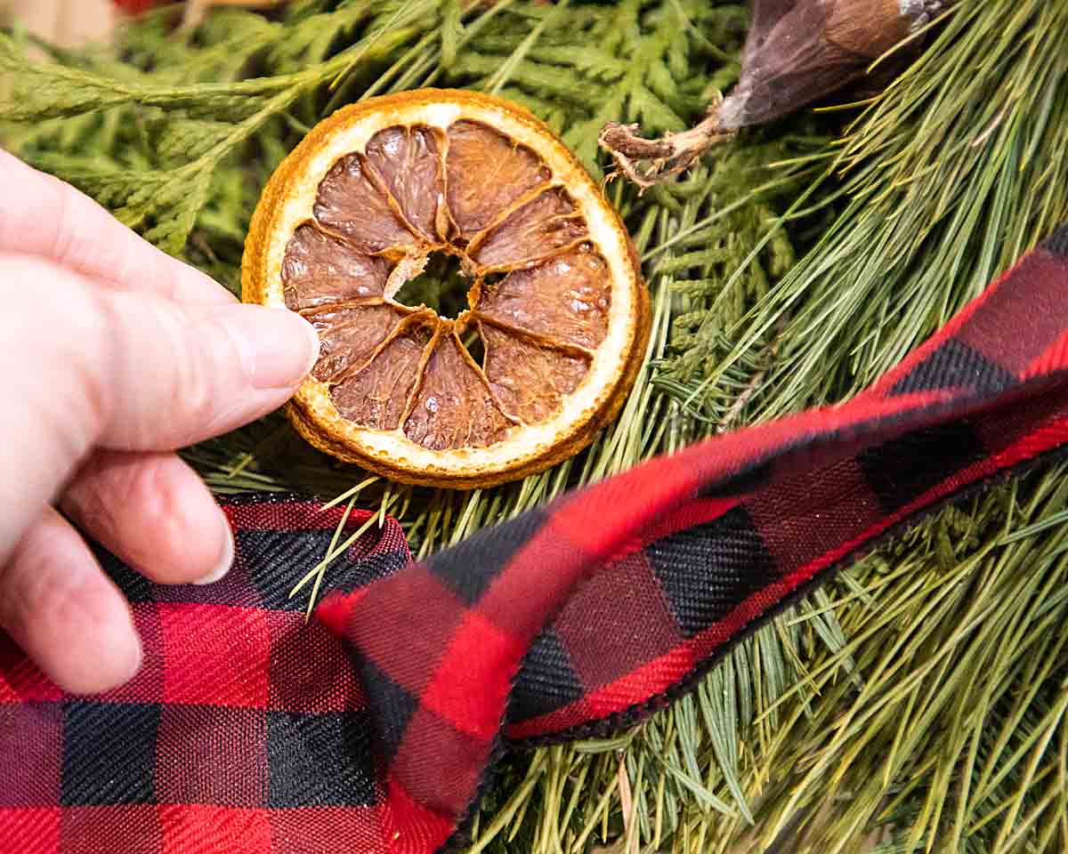 Dried Orange Slices: How to Make and Use – Art of Natural Living