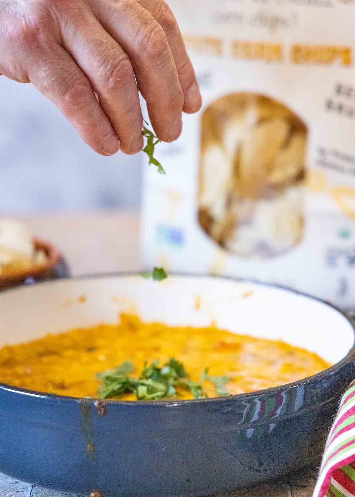 top with cilantro