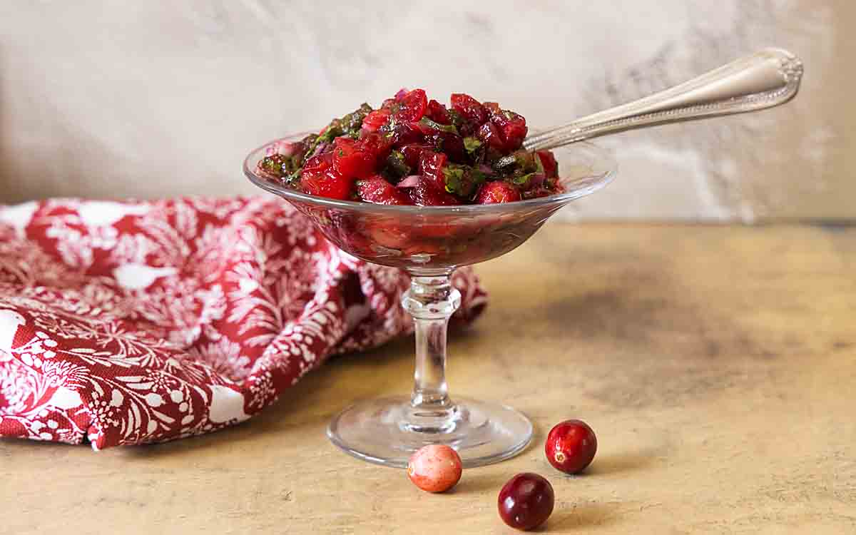 cranberry salsa