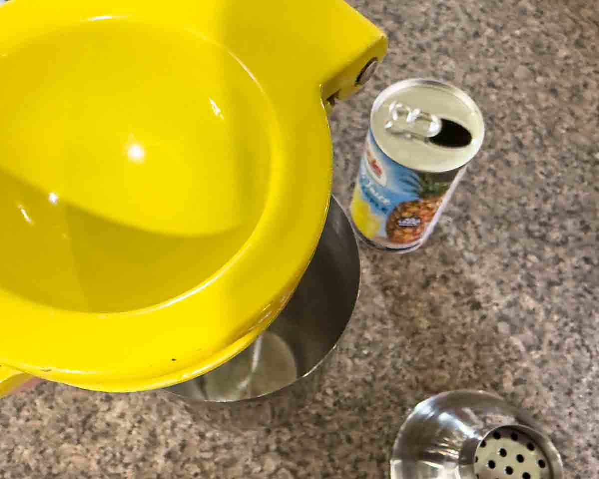 place ingredients in shaker